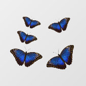 Blauwe Morpho Vlinders Venster Cling Raamsticker (Vel)
