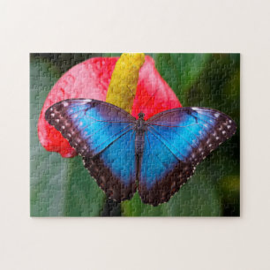 Blauwe Morphofalter Vlinder. Legpuzzel
