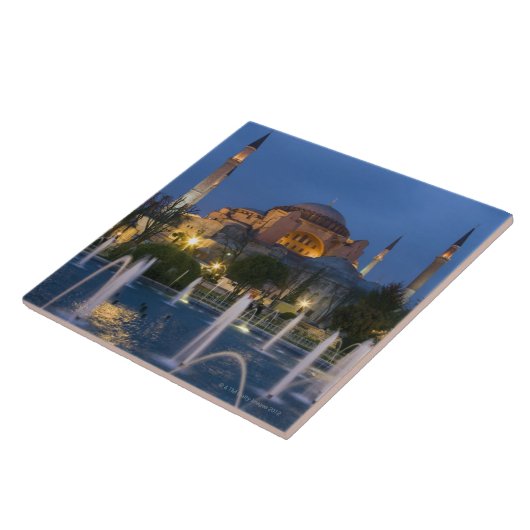 Blauwe moskee, Istanbul, Turkije Tegeltje (Zijkant)