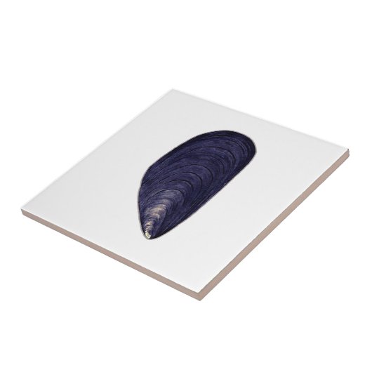  blauwe mossel tegeltje (Zijkant)