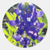 Blauwe motorkap ronde sticker (Voorkant)