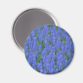 blauwe muscari bloemen magneet (Voorkant / Achterkant)