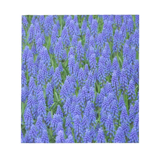  blauwe muscari bloemen notitieblok (Voorkant)