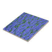 blauwe muscari bloemen tegeltje (Zijkant)