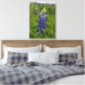 Blauwe mutsen van Texas Canvas Afdruk (Insitu (Slaapkamer))