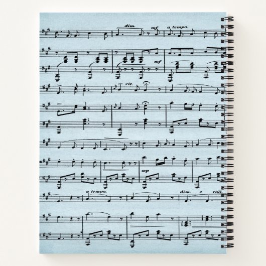 Blauwe muziek notitieboek (Achterkant)