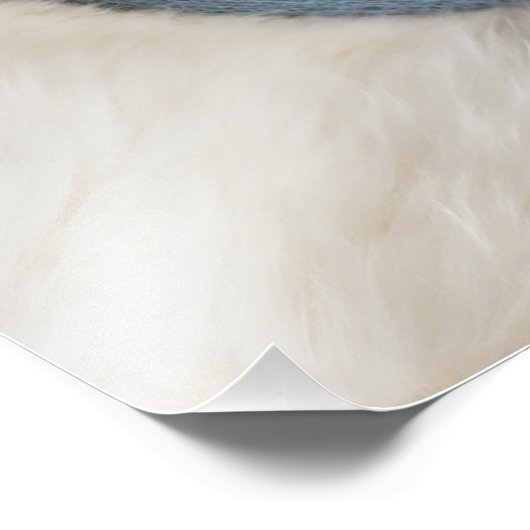 Blauwe Naam Geboortedatum Script Baby Foto Afdruk (Hoek)