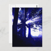 Blauwe nachtbomen briefkaart (Voorkant / Achterkant)