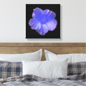 Blauwe Nasturtium Bloem Canvasprint Canvas Afdruk (Insitu (Slaapkamer))