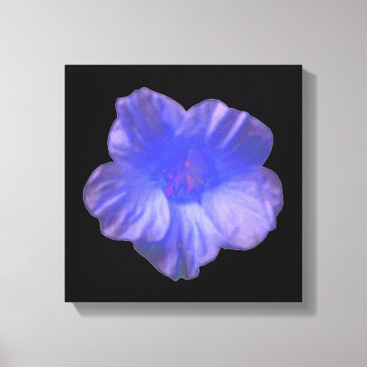 Blauwe Nasturtium Bloem Canvasprint Canvas Afdruk (Voorkant)