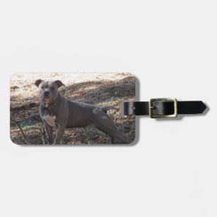 Blauwe Neus Pitbull Bagagelabel