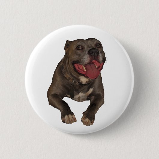 Blauwe neus Pitbull-Button Ronde Button 5,7 Cm (Voorkant)