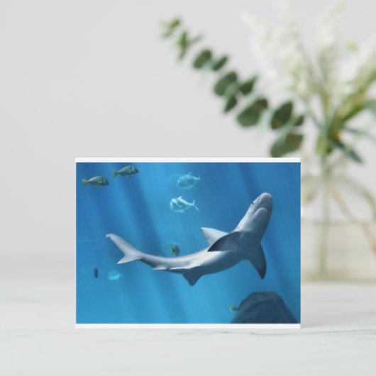 BLAUWE OCEAAN BRIEFKAART (Staand voorkant)