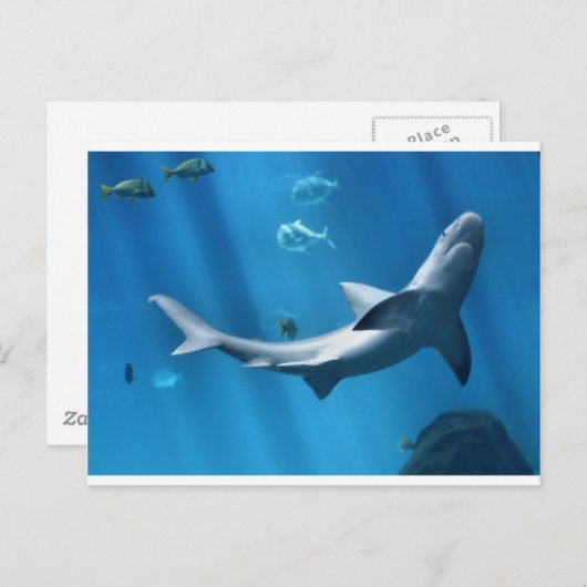 BLAUWE OCEAAN BRIEFKAART (Voorkant / Achterkant)