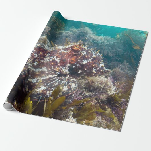 Blauwe oceaan koraal octopus wrapping papier (Uitgerold)