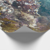 Blauwe oceaan koraal octopus wrapping papier (Hoek)