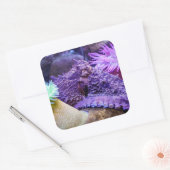 Blauwe oceaan paarse octopus vierkante sticker (Envelop)