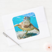 Blauwe oceaan zee schildpad gezicht voor sticker (Envelop)