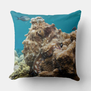 Blauwe oceaanoctopus koraalrif kussen