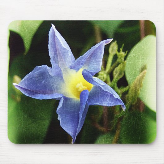 Blauwe ochtendgloren muismat (Voorkant)