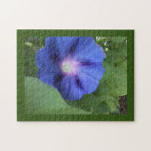 blauwe ochtendglorie legpuzzel (Horizontaal)