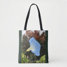 Blauwe ochtendglorie 