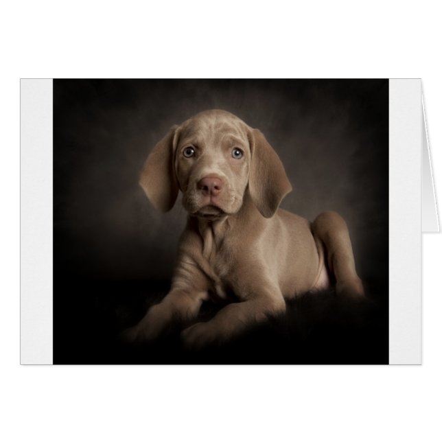 Blauwe ogen (Voorkant Horizontaal)