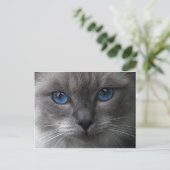 Blauwe ogen briefkaart (Staand voorkant)
