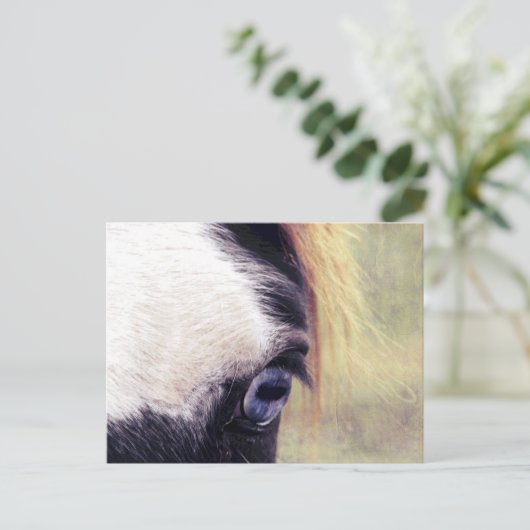 Blauwe ogen briefkaart (Staand voorkant)