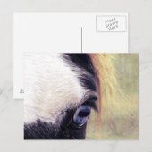 Blauwe ogen briefkaart (Voorkant / Achterkant)