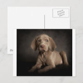 Blauwe ogen briefkaart (Voorkant / Achterkant)