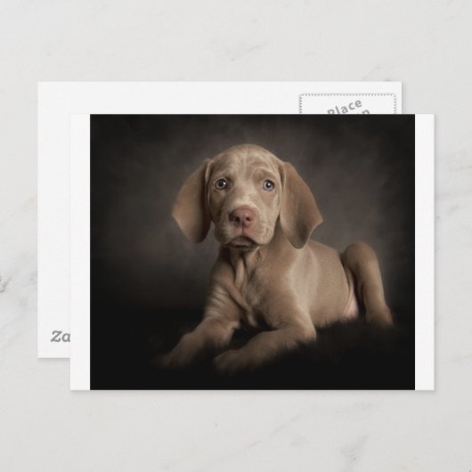 Blauwe ogen briefkaart (Voorkant / Achterkant)