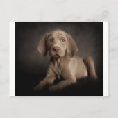 Blauwe ogen briefkaart (Voorkant)