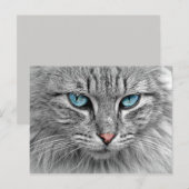 Blauwe ogen briefkaart (Voorkant / Achterkant)