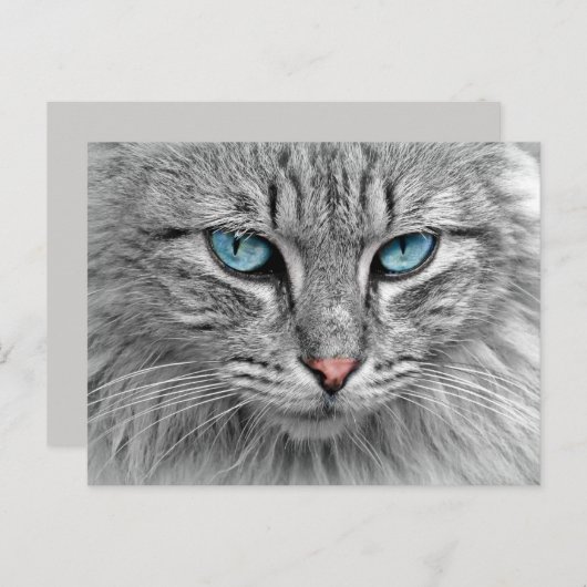 Blauwe ogen briefkaart (Voorkant / Achterkant)