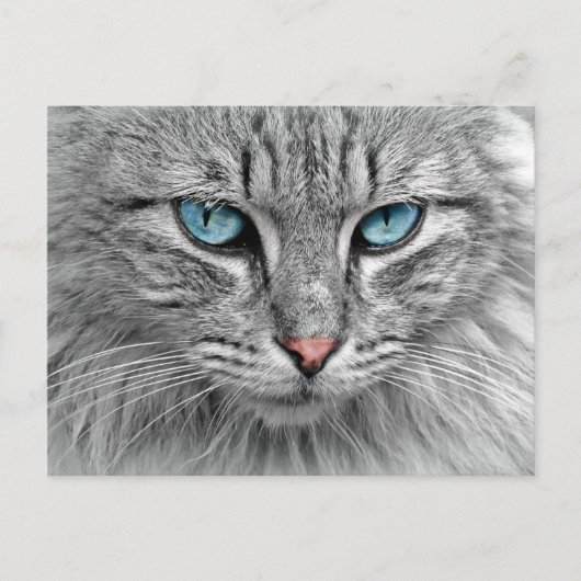 Blauwe ogen briefkaart (Voorkant)