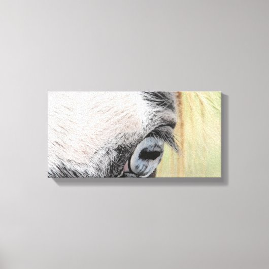 Blauwe ogen canvas afdruk (Voorkant)