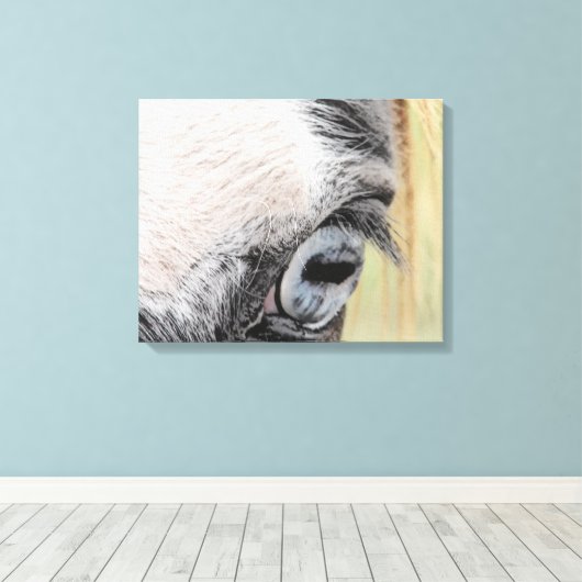 Blauwe ogen canvas afdruk (Insitu (Houten vloer))