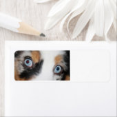 blauwe ogen etiket (Insitu)