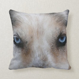 Blauwe ogen husky hond foto gooit kussen