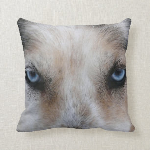 Blauwe ogen husky hond foto gooit kussen