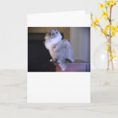 Blauwe ogen, kaart (Gele Bloem)