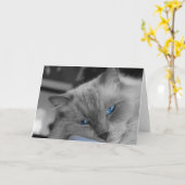 Blauwe ogen kaart (Gele Bloem)