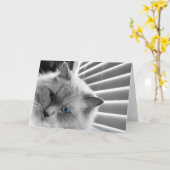 Blauwe ogen, kaart (Gele Bloem)