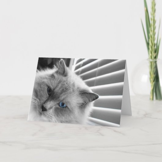 Blauwe ogen, kaart (Voorkant)