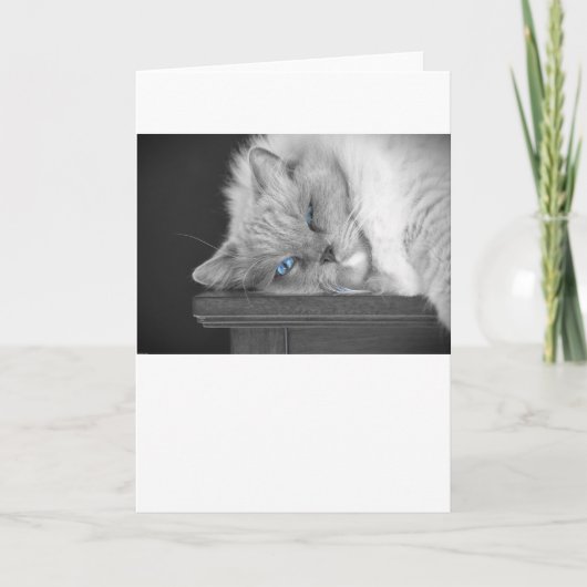 Blauwe ogen, kaart (Voorkant)