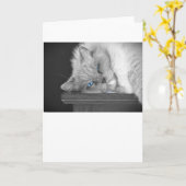 Blauwe ogen, kaart (Gele Bloem)