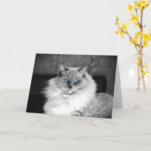 Blauwe ogen, kaart (Gele Bloem)