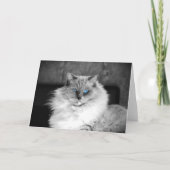 Blauwe ogen, kaart (Voorkant)