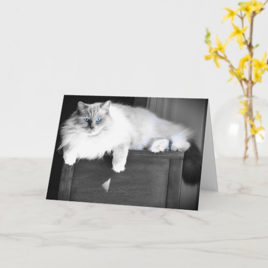 Blauwe ogen, kaart (Gele Bloem)